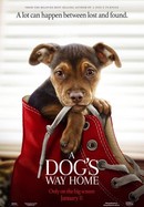 A Dog's Way Home poster image