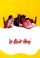 It Ain't Hay poster image