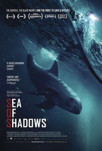 Watch trailer for Sea of Shadows