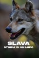 Slava: Storia di un lupo