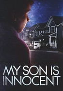 My Son Is Innocent poster image