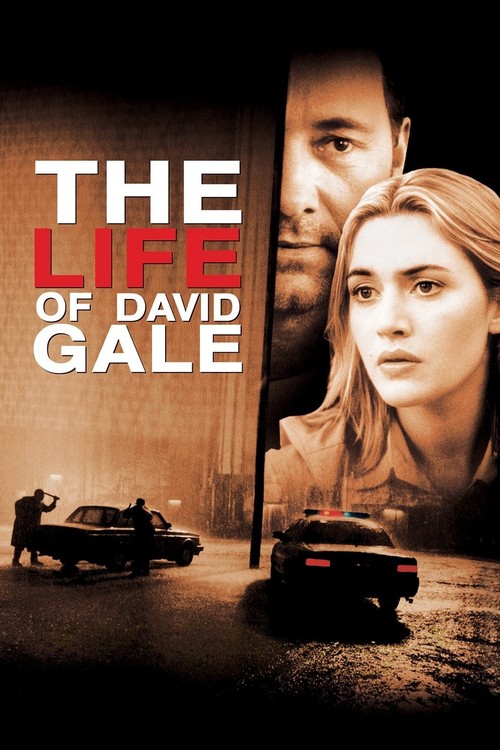 The Life of David Gale poster