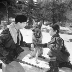 SIGN OF THE WOLF, Michael Whalen, Smokey the Dog, Darryl Hickman, 1941