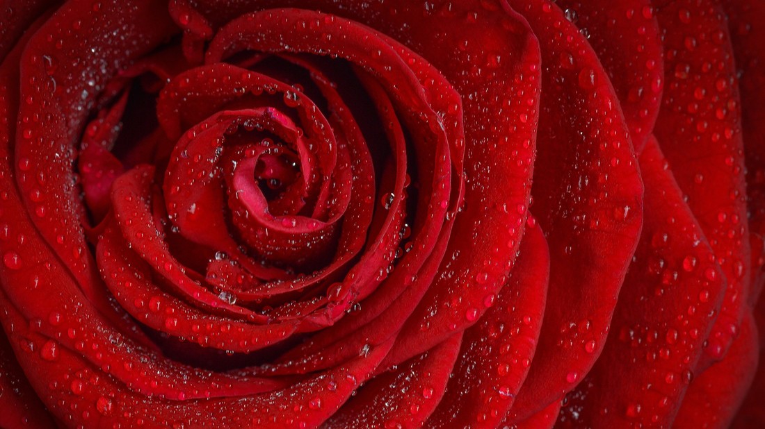 The bachelor season 12 episode hotsell 1