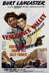 Vengeance Valley poster
