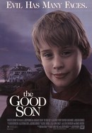 The Good Son poster image