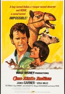 One Little Indian poster image