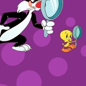 The Sylvester & Tweety Mysteries: Season 5 Pictures - Rotten Tomatoes