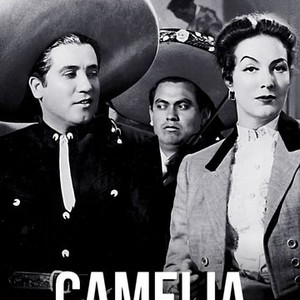 A Dama das Camélias (TV Movie 1962) - IMDb