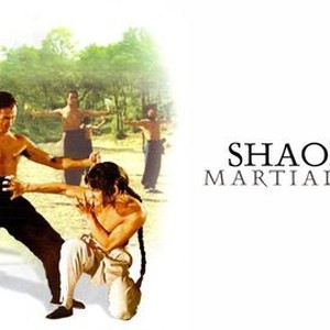 Shaolin Martial Arts photo 12