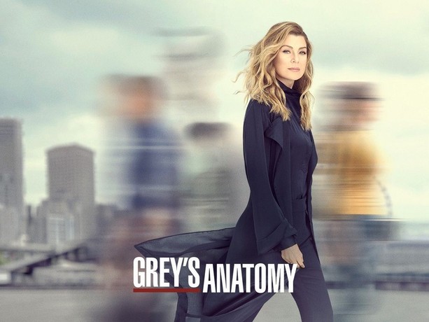 Grey's Anatomy: Season 16