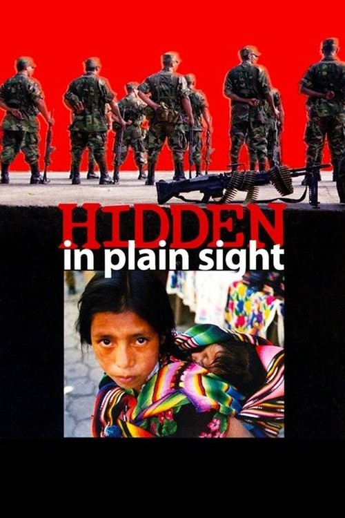 Hidden in Plain Sight poster