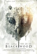 Blackwood poster image
