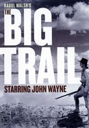 The Big Trail poster image