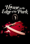 House on the Edge of the Park poster image