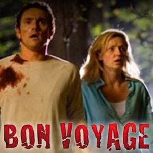 "Bon Voyage photo 8"