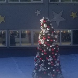 A Christmas Tree Grows in Colorado (2020) photo 2