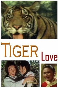 Bengal Tiger - Rotten Tomatoes