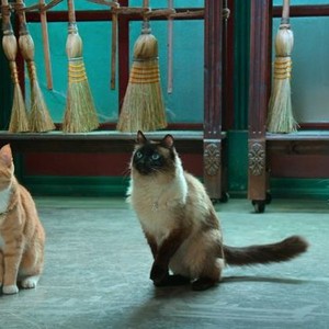 Scaredy Cats: Season 1, Episode 4 - Rotten Tomatoes