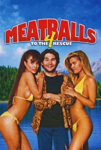Poster for Meatballs 4