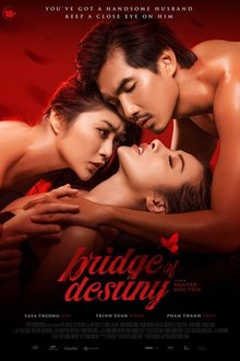 Bridge of Destiny film afişi