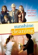 Sunshine Cleaning poster image