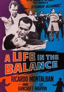 A Life in the Balance poster image