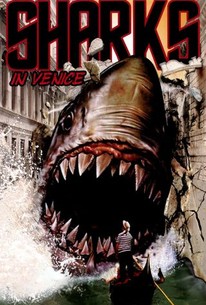 Poster for Sharks in Venice
