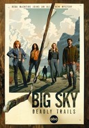 Big Sky poster image
