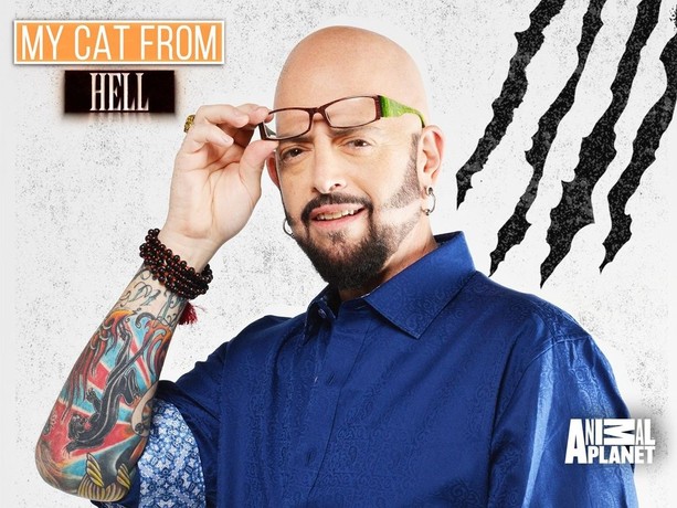 My cat from hell season 9 episode 4 outlet