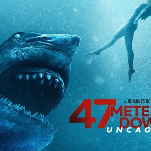 47 Meters Down: Uncaged photo 16