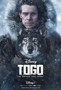 Togo 2019 Rotten Tomatoes