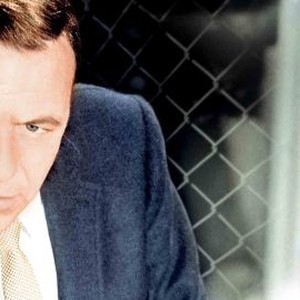 The Detective photo 4