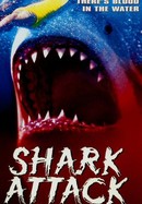 Shark Attack poster image