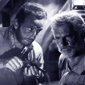 The Treasure of the Sierra Madre (1948) photo 15