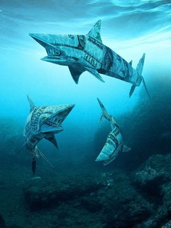 Shark tank season 11 fmovies shop