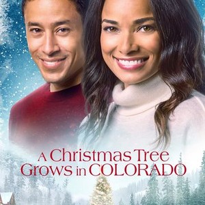 A Christmas Tree Grows in Colorado photo 9