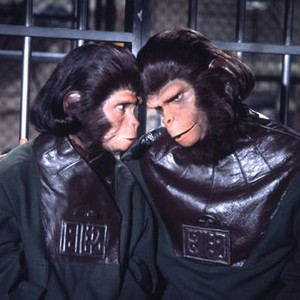 Escape From the Planet of the Apes (1971) photo 6