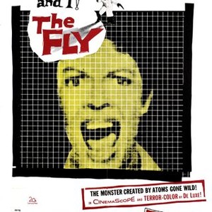 The Fly (1958) photo 14