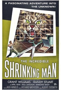 Poster for The Incredible Shrinking Man