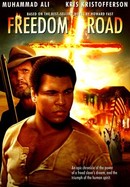 Freedom Road poster image