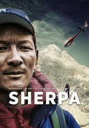 Sherpa poster image