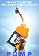 Pump poster image