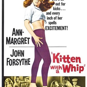 Kitten With a Whip (1964) photo 10