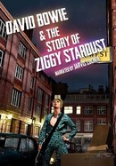 David Bowie & The Story of Ziggy Stardust poster image