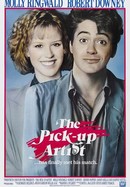 The Pick-Up Artist poster image