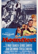 Moonfleet poster image