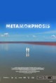 Metamorphosis