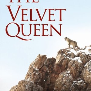 "The Velvet Queen photo 4"