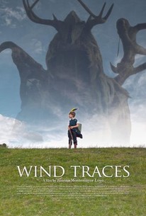 Wind Traces poster